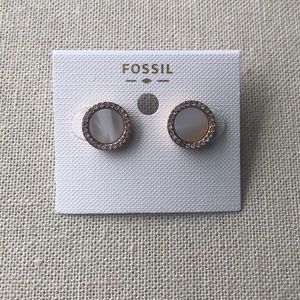 Fossil Shimmer Horn Studs